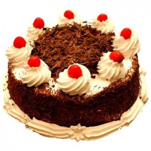 Black Forest Delight Delivery in Noida