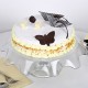 Butterscotch Round Cake Delivery in Noida