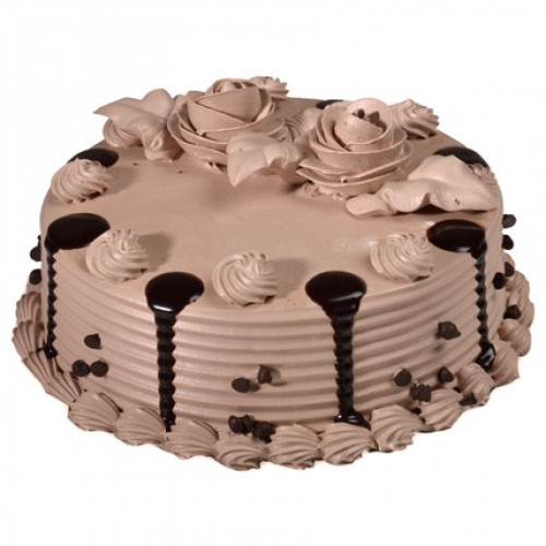 Light Choco Chip Cake Delivery in Noida