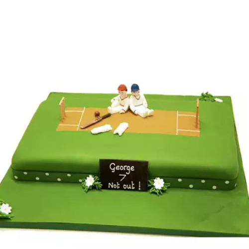 Customized Cricket Pitch Cake Delivery in Noida