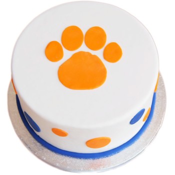 Clemson Theme Fondant Cake
