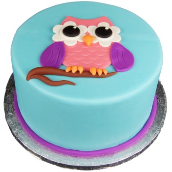 Owl Theme Fondant Cake Owl Theme Fondant Cake