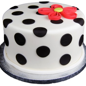 Polka Dot Quill Fondant Cake Polka Dot Quill Fondant Cake