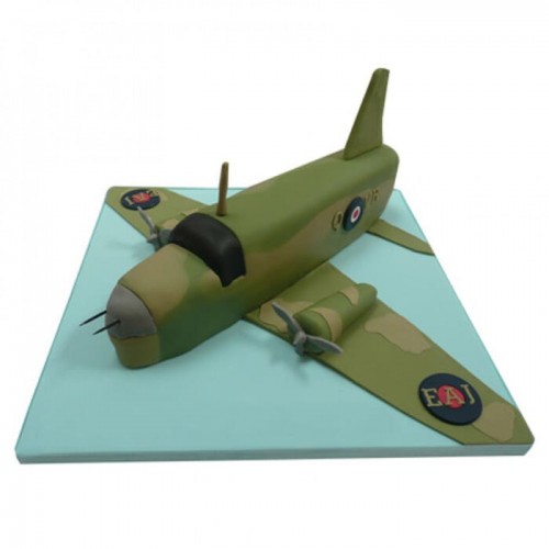 Green Airplane Fondant Cake Delivery in Noida