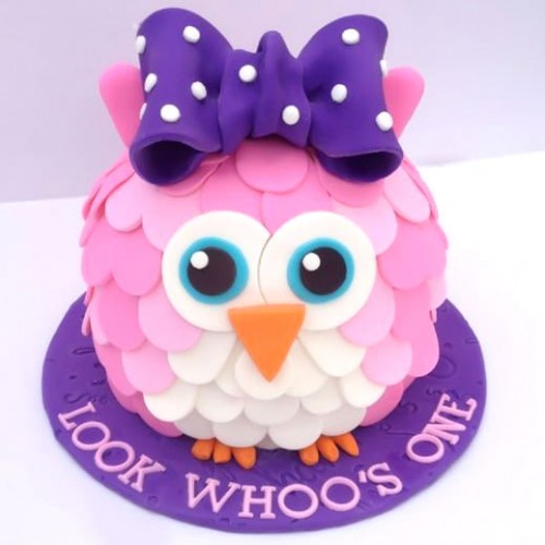 Owl Designer Birthday Cake Delivery in Noida