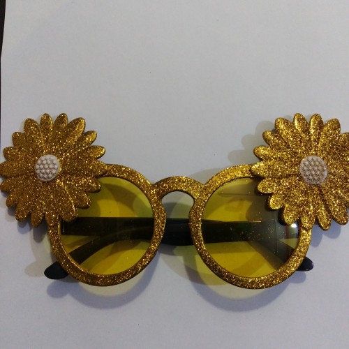 Fancy Costume Goggles Delivery in Noida