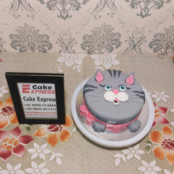 Pussy Cat Face Fondant Cake